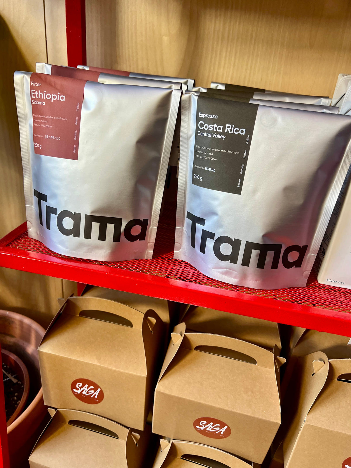 Elevating the Coffee Culture in Braga: Trama Launches at SAGA